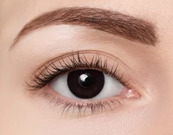 Clearcolor 1-Day Phantom Black Out -Beste Optiek Winkel clearcolor FN101N black out