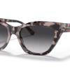Emporio Armani 0EA4176 54108G54/18 -Beste Optiek Winkel original png 0EA4176 54108G STD shad qt