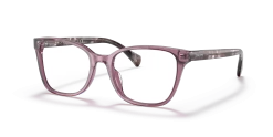 Ralph 0RA7137U 600851/18 -Beste Optiek Winkel original png 0RA7137U 6008 STD shad qt